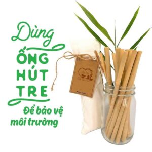 Combo 20 ống hút tre