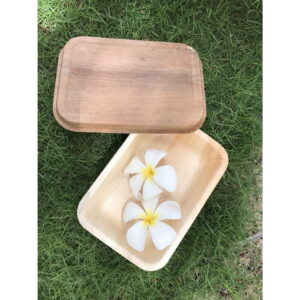 Set 10 hộp đựng có nắp mo cau