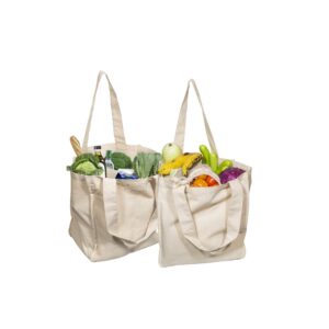 Túi vải canvas EcoBag